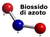 biossido di azoto